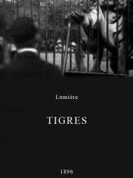 Tigres