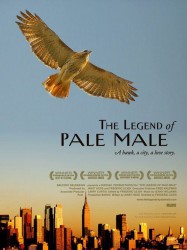 The Legend of Pale Male