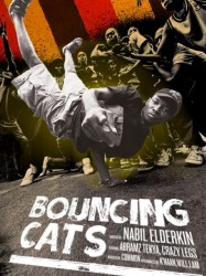 Bouncing Cats