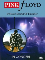 Delicate Sound of Thunder