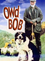 Owd Bob