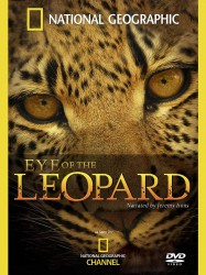 Eye of the Leopard