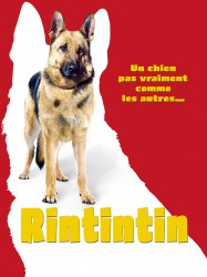 Rintintin