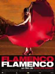 Flamenco, Flamenco