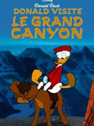 Donald visite le Grand Canyon