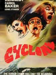 Cyclone