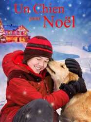 Un chien pour Noël