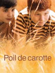 Poil de carotte