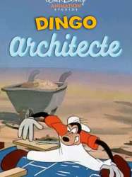 Dingo Architecte