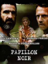 Papillon noir