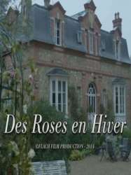 Des roses en hiver