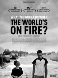 What You Gonna Do When the World's on Fire ?