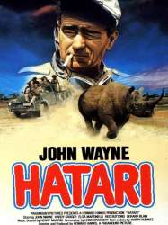 Hatari !