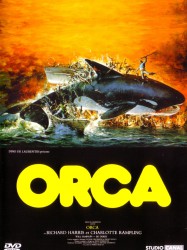 Orca