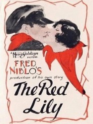 The Red Lily