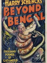 Beyond Bengal