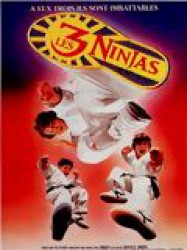 Ninja Kids 3 : Les 3 Ninjas se révoltent