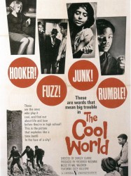 The Cool World