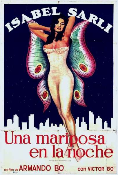 Una mariposa en la noche