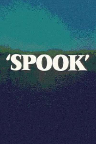 Spook