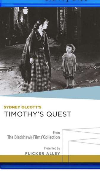 Timothy's Quest