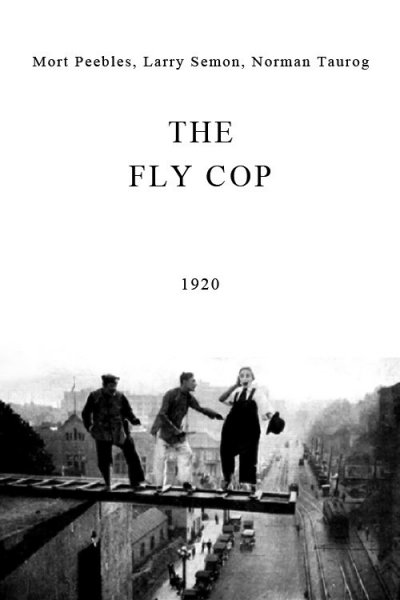 The Fly Cop