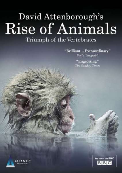 Rise of Animals: Triumph of the Vertebrates