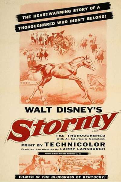 Stormy, the Thoroughbred with an Inferiority Complex