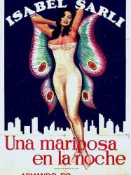 Una mariposa en la noche