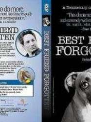 Best Friend Forgotten