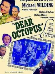 Dear Octopus