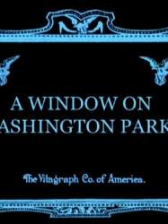 A Window on Washington Park