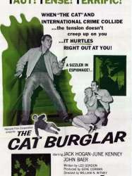 The Cat Burglar