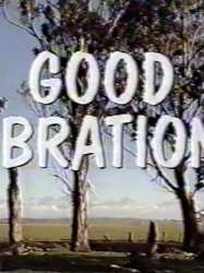 Good Vibrations (miniseries)