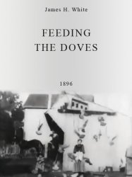 Feeding the Doves