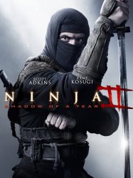 Ninja 2 : Shadow of a Tear