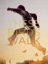 These Birds Walk
