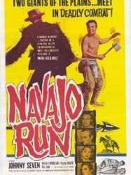 Navajo Run