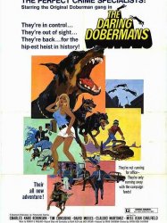 The Daring Dobermans