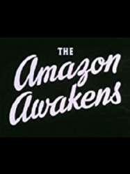 Amazon Awakens