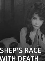 Shep's Race with Death