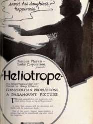 Heliotrope