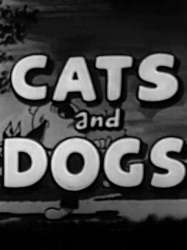 Cats and Dogs