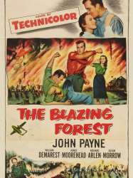 The Blazing Forest