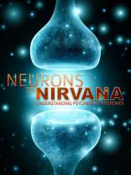 Neurons to Nirvana