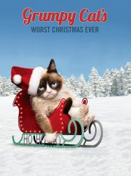 Joyeux Noël Grumpy Cat !