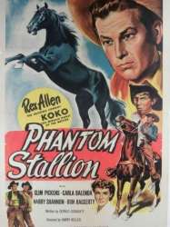 Phantom Stallion