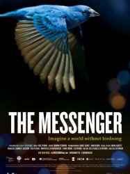 The Messenger