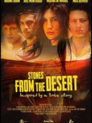 Stones from the desert