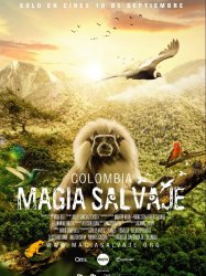 Colombia magia salvaje